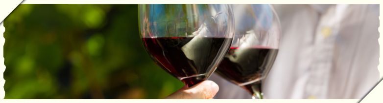 Vino Novello